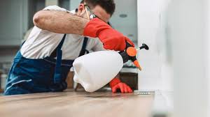 Best Residential Pest Control  in Prceton, IN